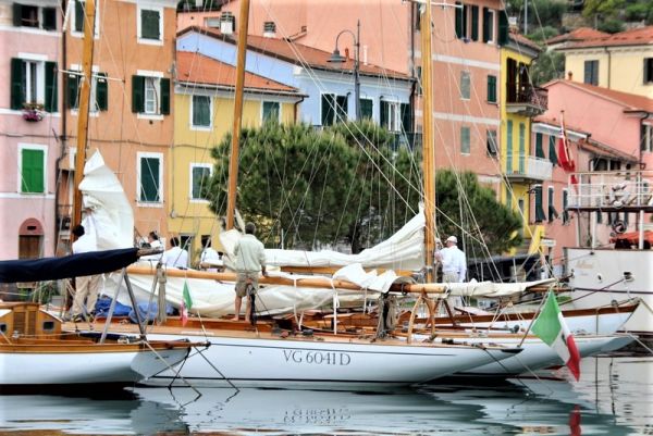Immagine 4