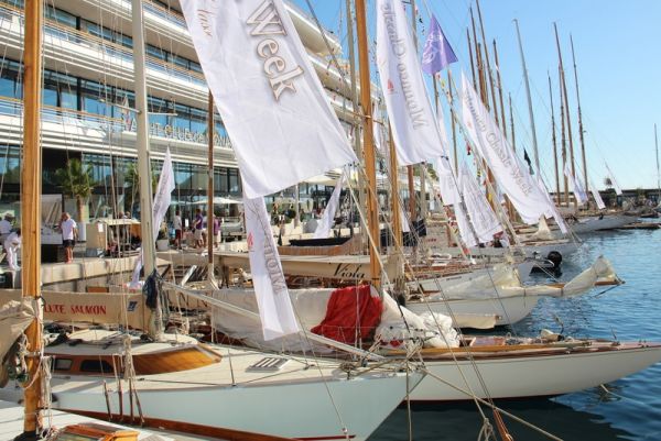 Immagine 7