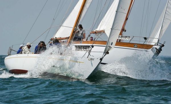 Immagine 2